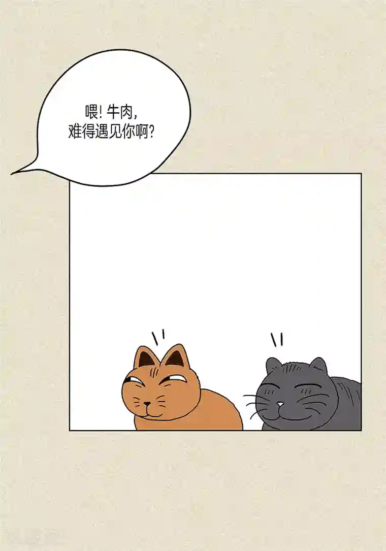 猫王子第3话 被捉弄