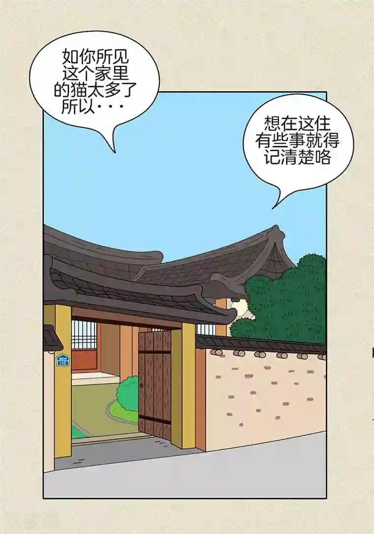 猫王子第4话 秃顶之灾