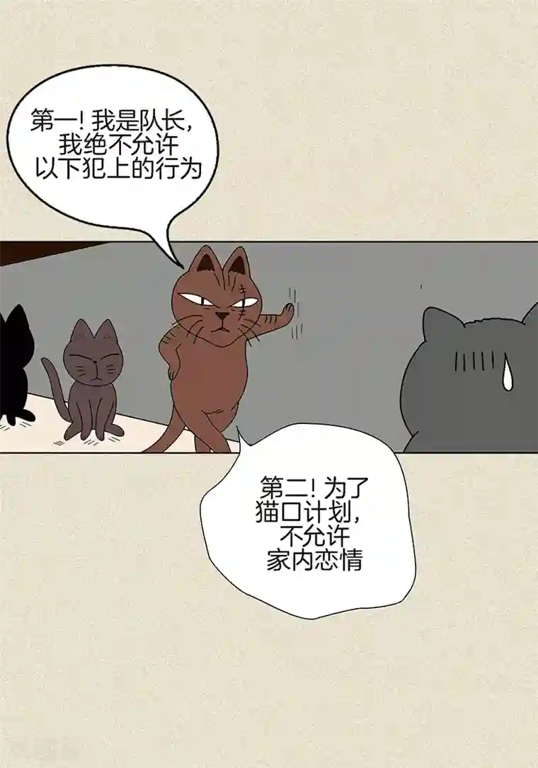 猫王子第4话 秃顶之灾