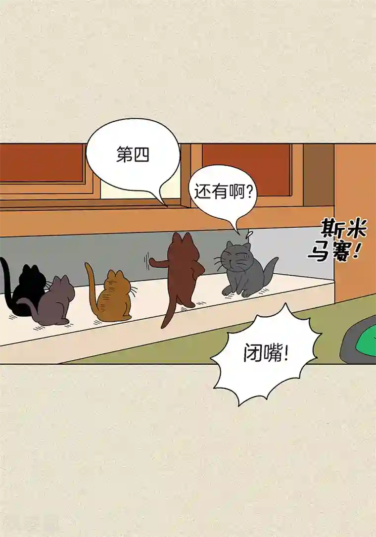 猫王子第4话 秃顶之灾