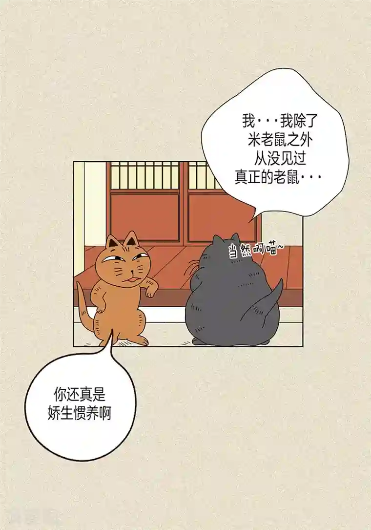 猫王子第5话 变态王子