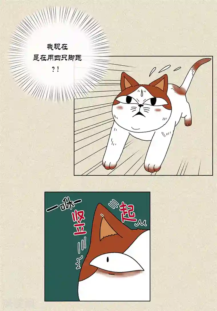 猫王子第7话 突然变身