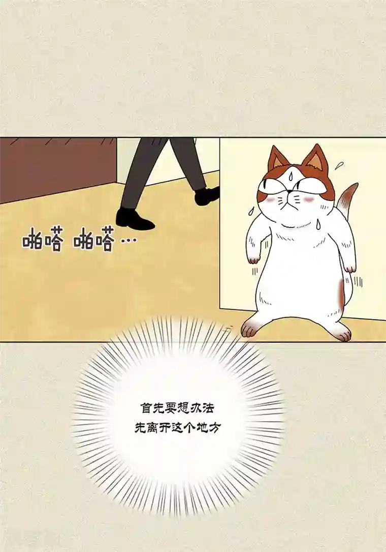 猫王子第7话 突然变身