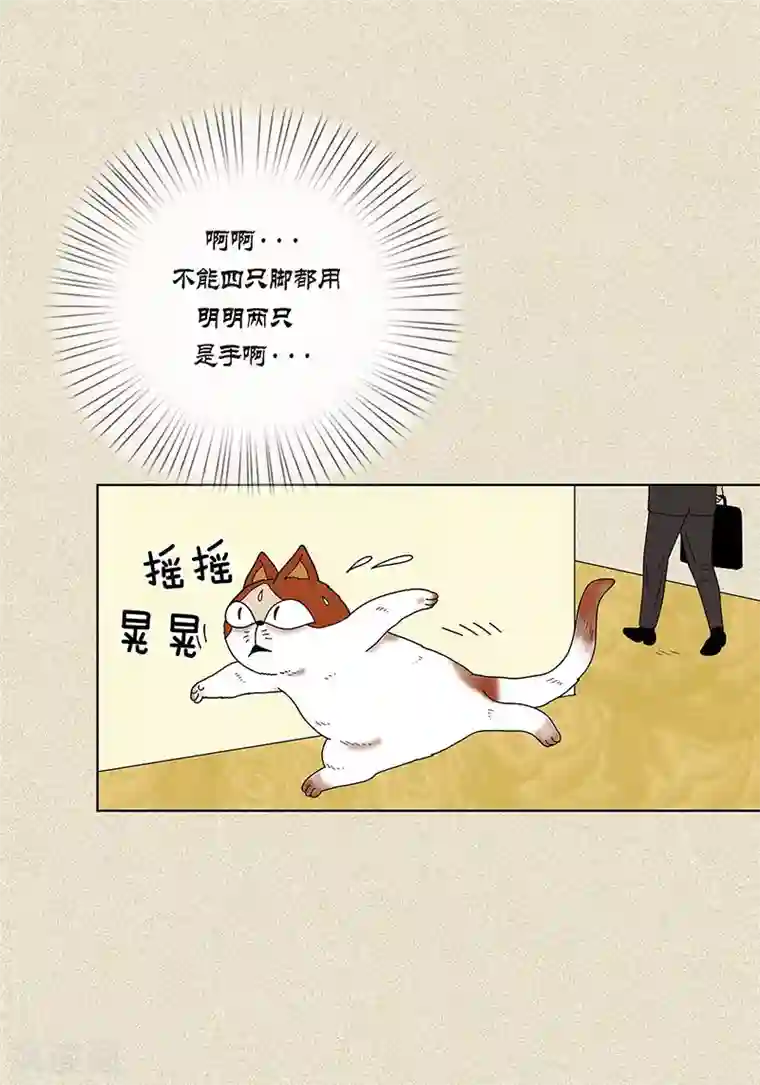 猫王子第7话 突然变身