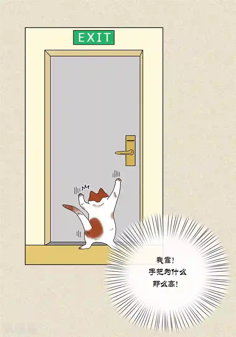 猫王子第7话 突然变身