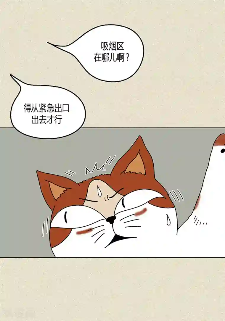 猫王子第7话 突然变身
