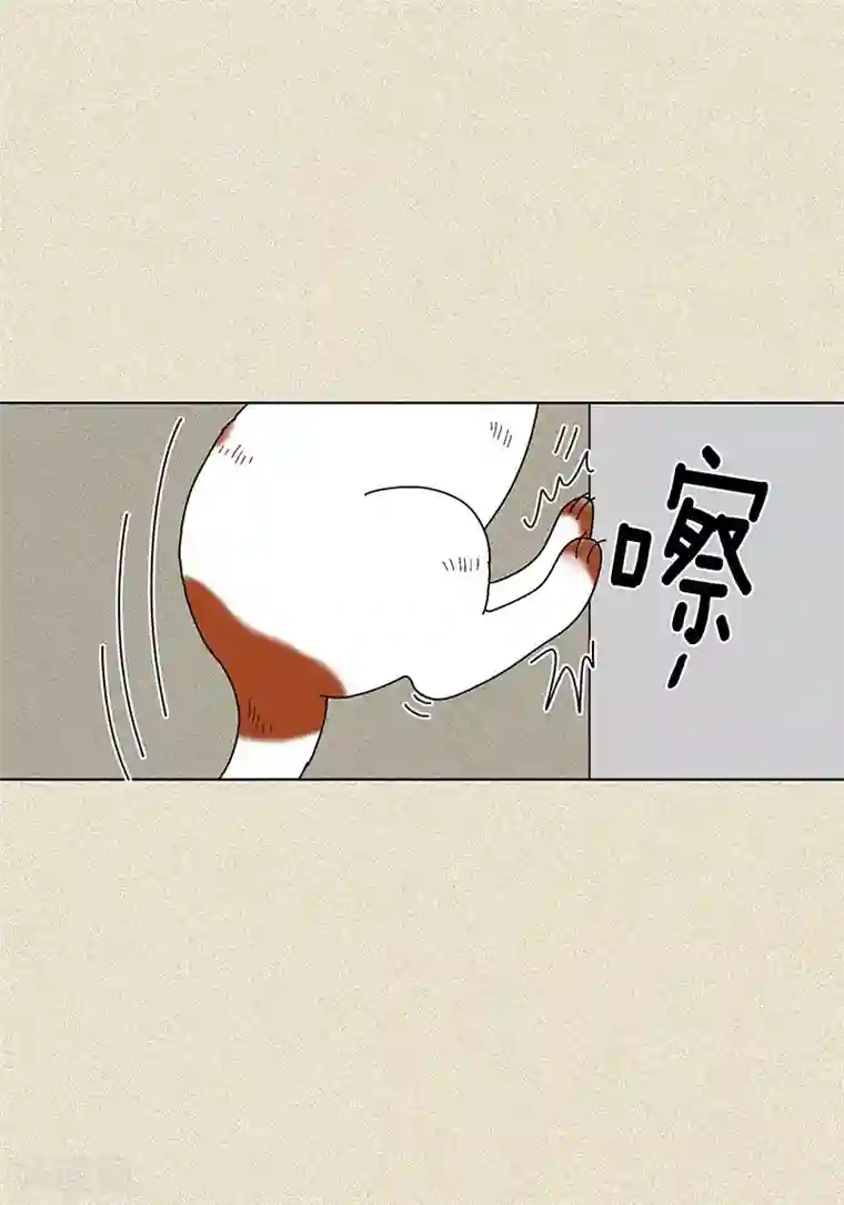 猫王子第7话 突然变身