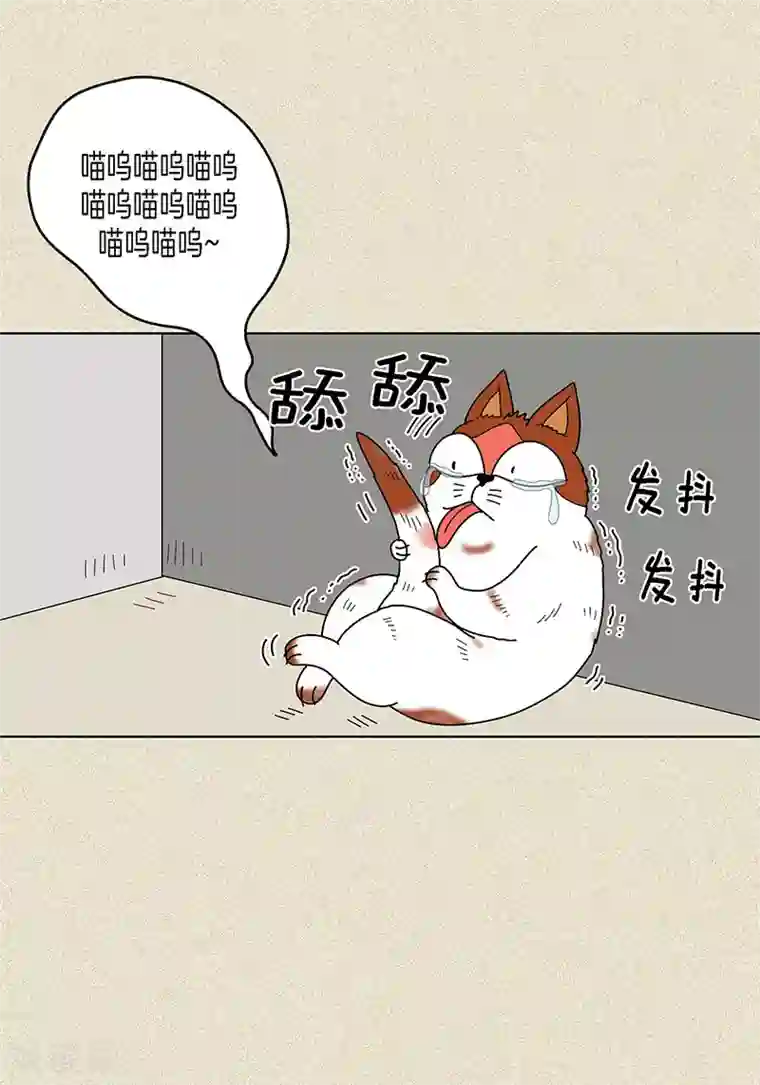 猫王子第7话 突然变身