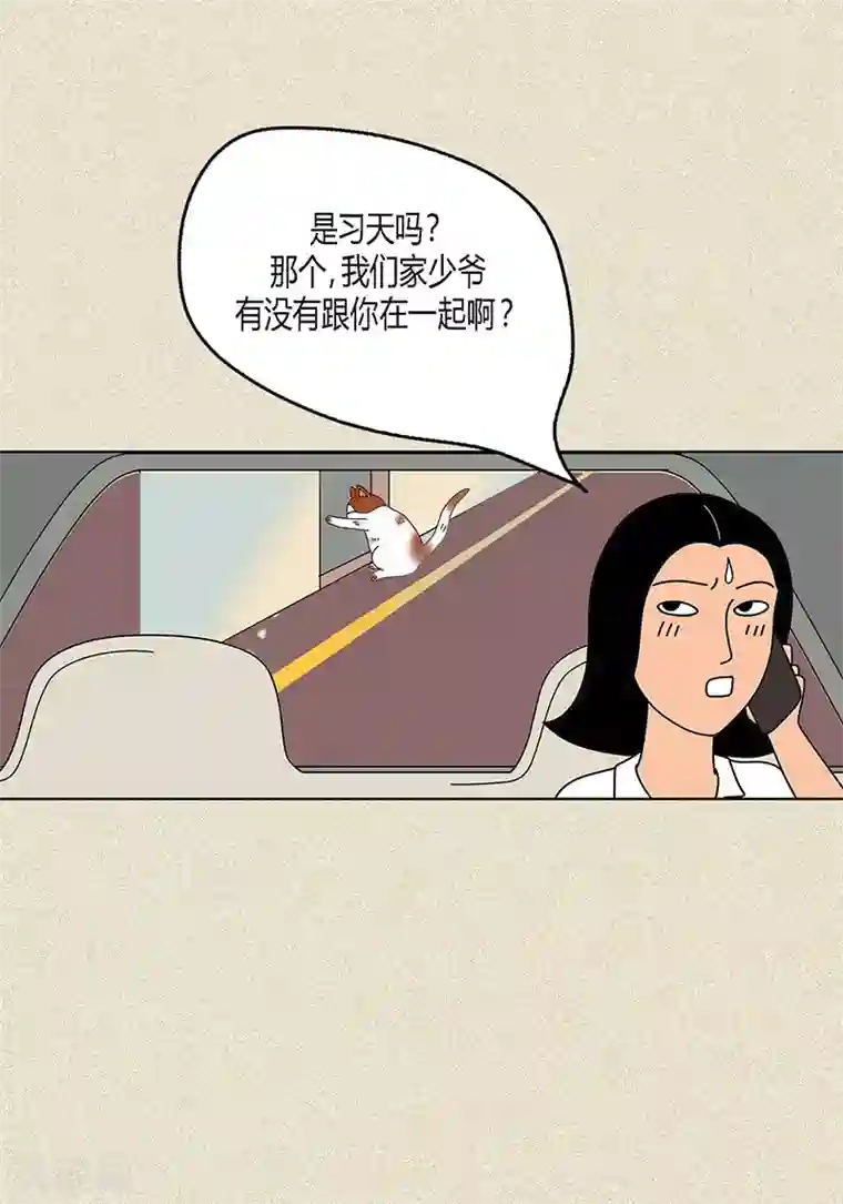 猫王子第8话 “流浪”喵