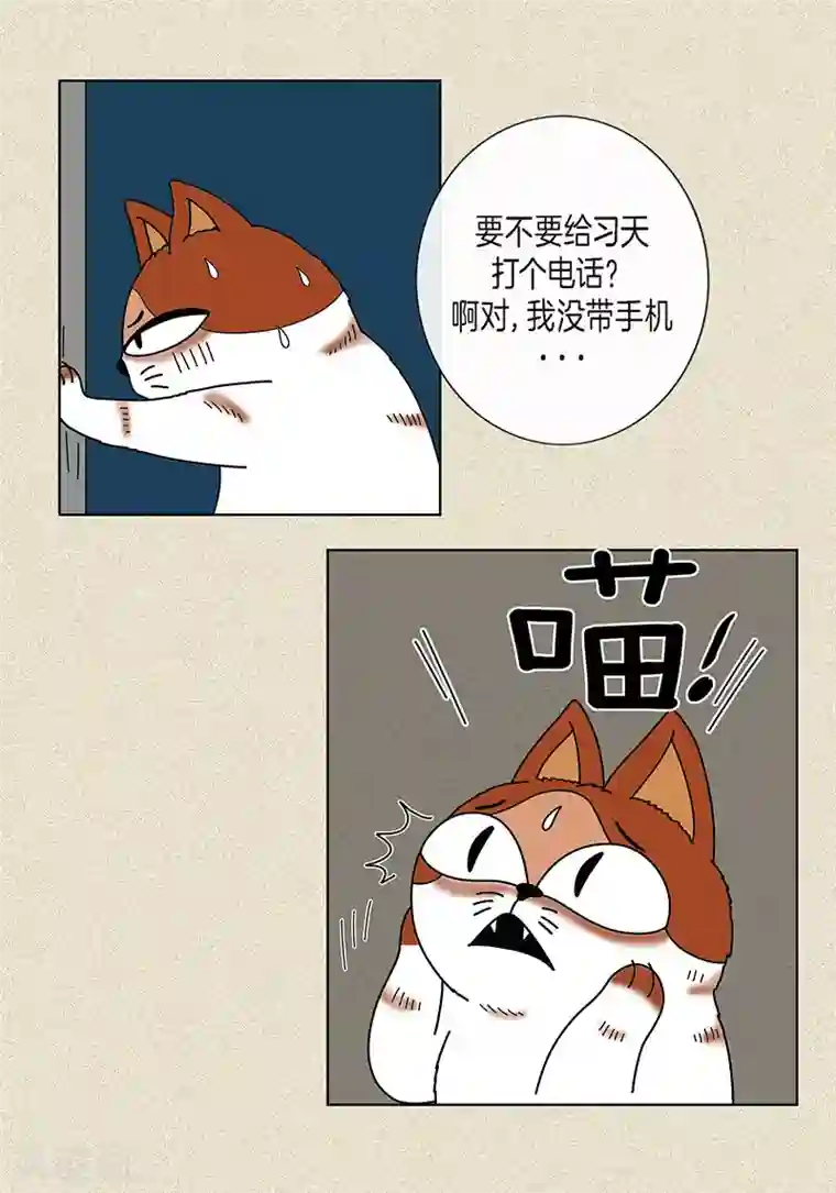 猫王子第8话 “流浪”喵