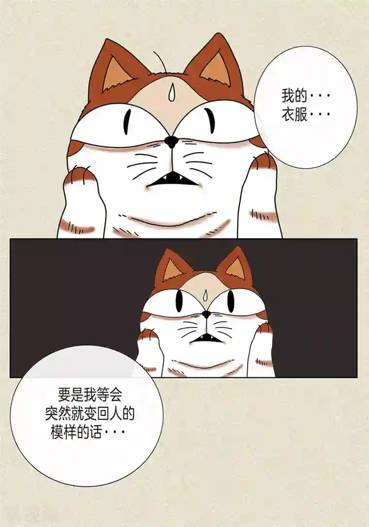 猫王子第8话 “流浪”喵