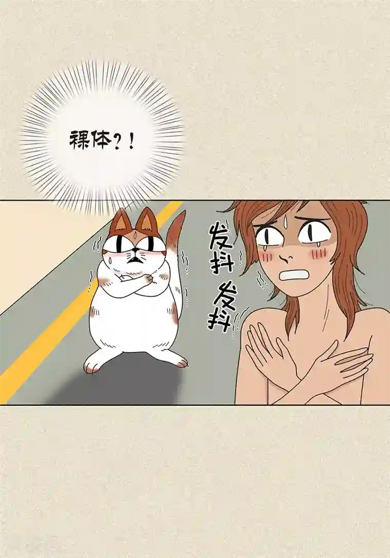 猫王子第8话 “流浪”喵