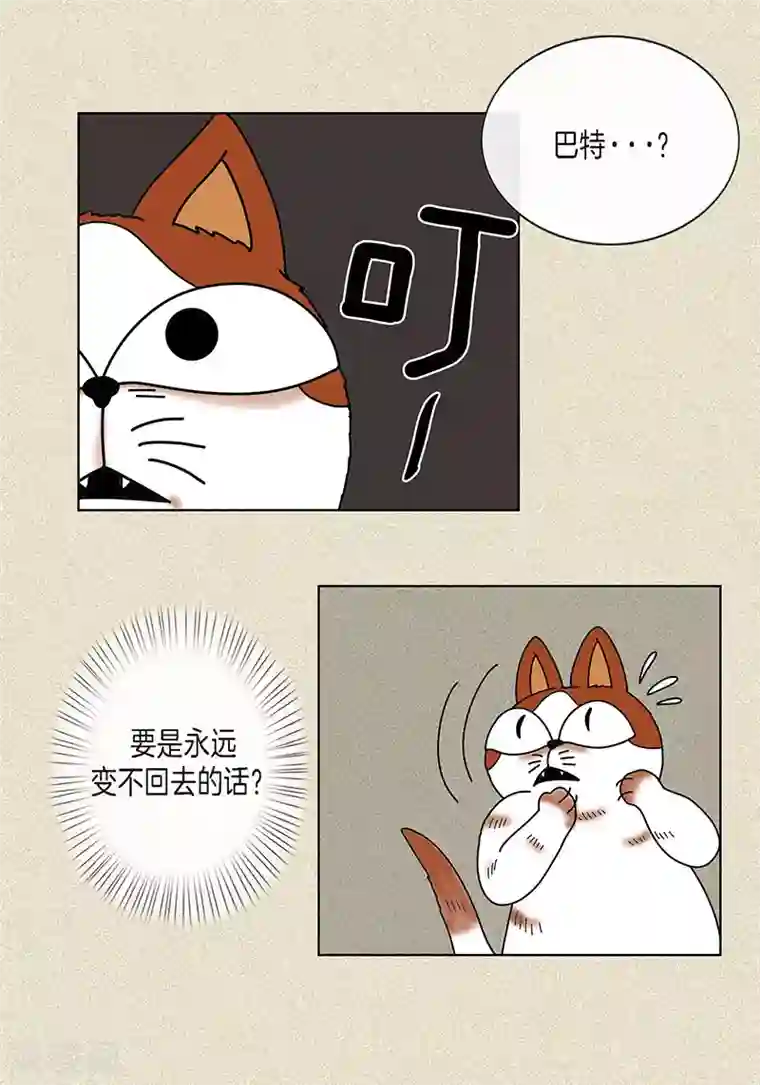 猫王子第8话 “流浪”喵