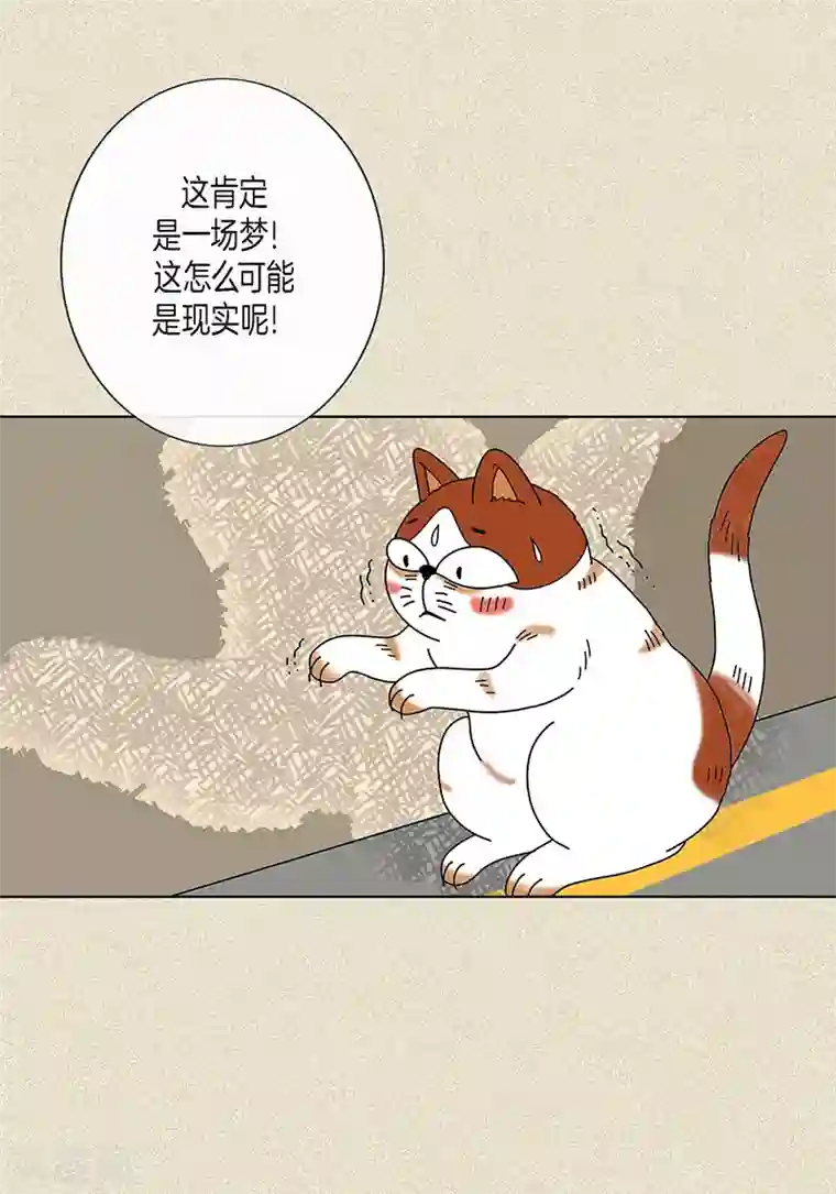 猫王子第8话 “流浪”喵