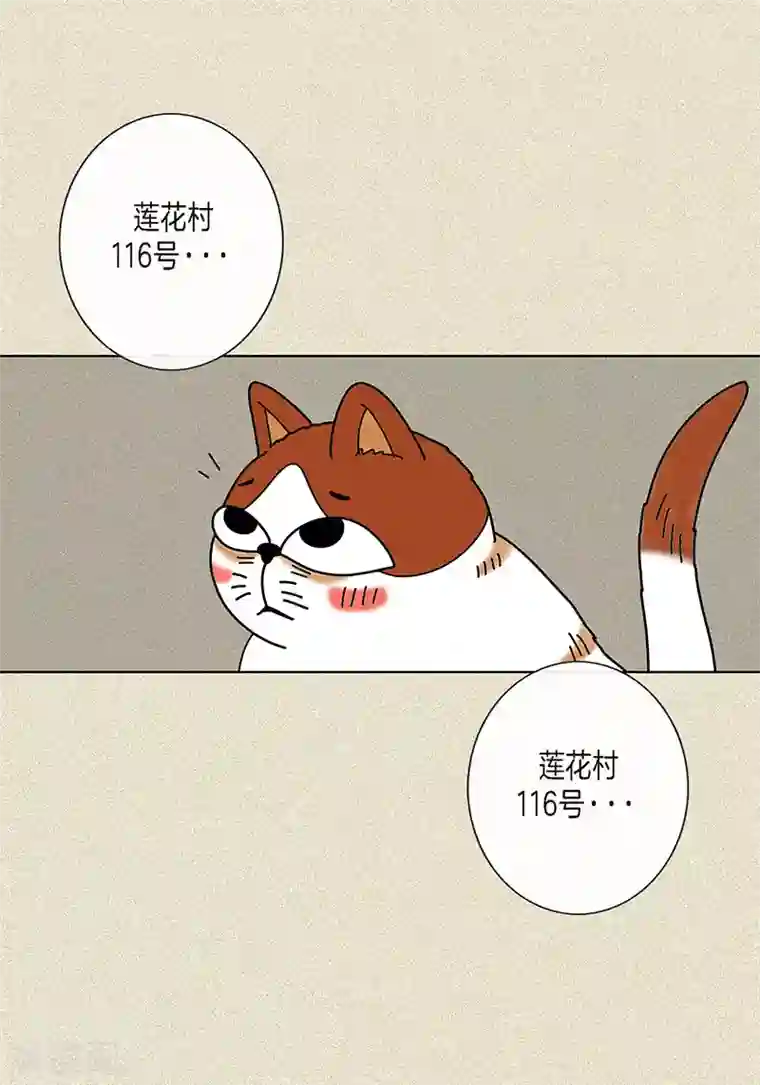 猫王子第8话 “流浪”喵