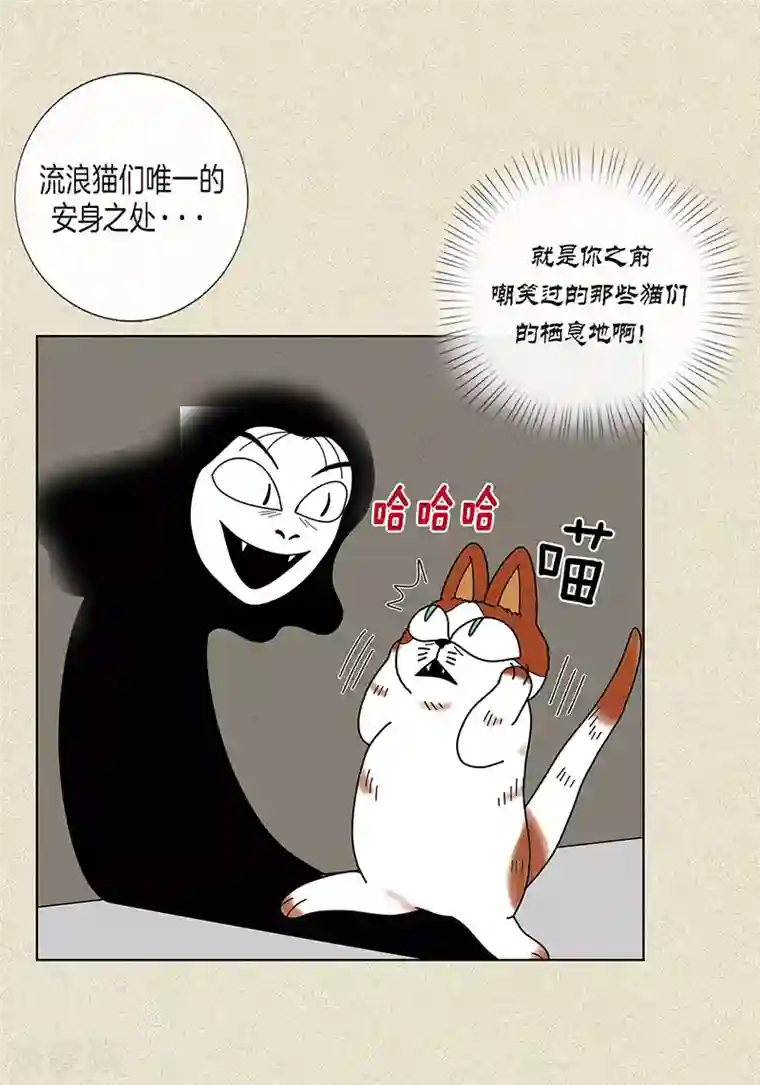 猫王子第8话 “流浪”喵