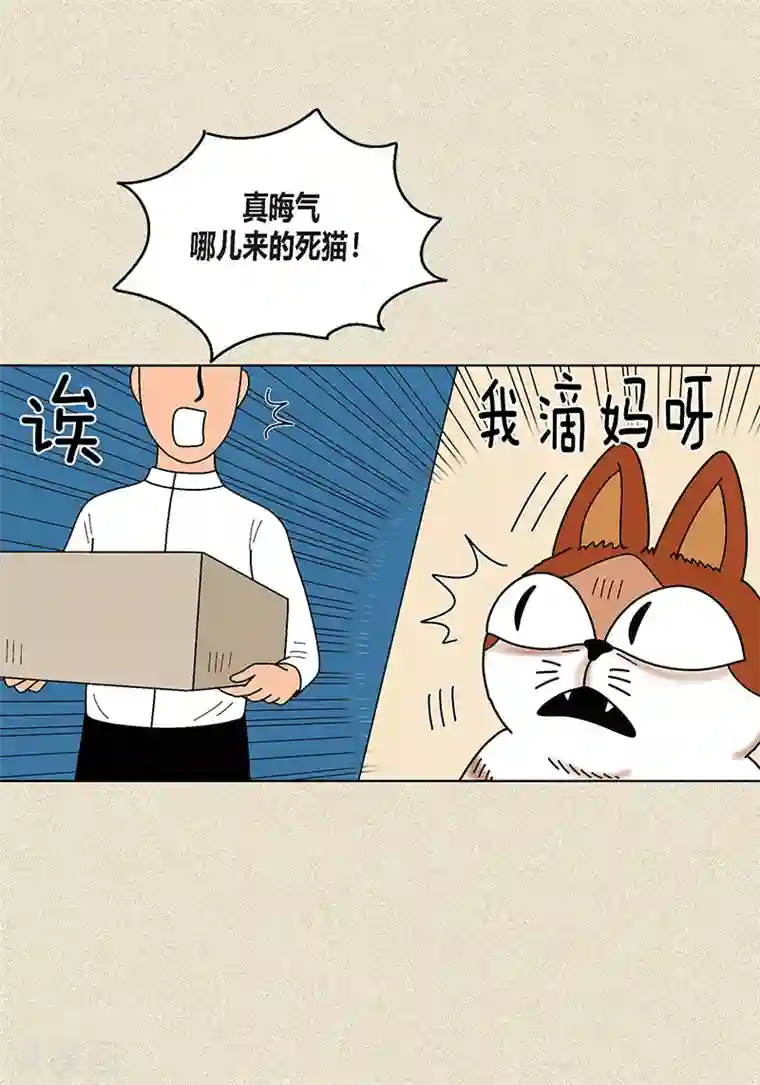 猫王子第8话 “流浪”喵