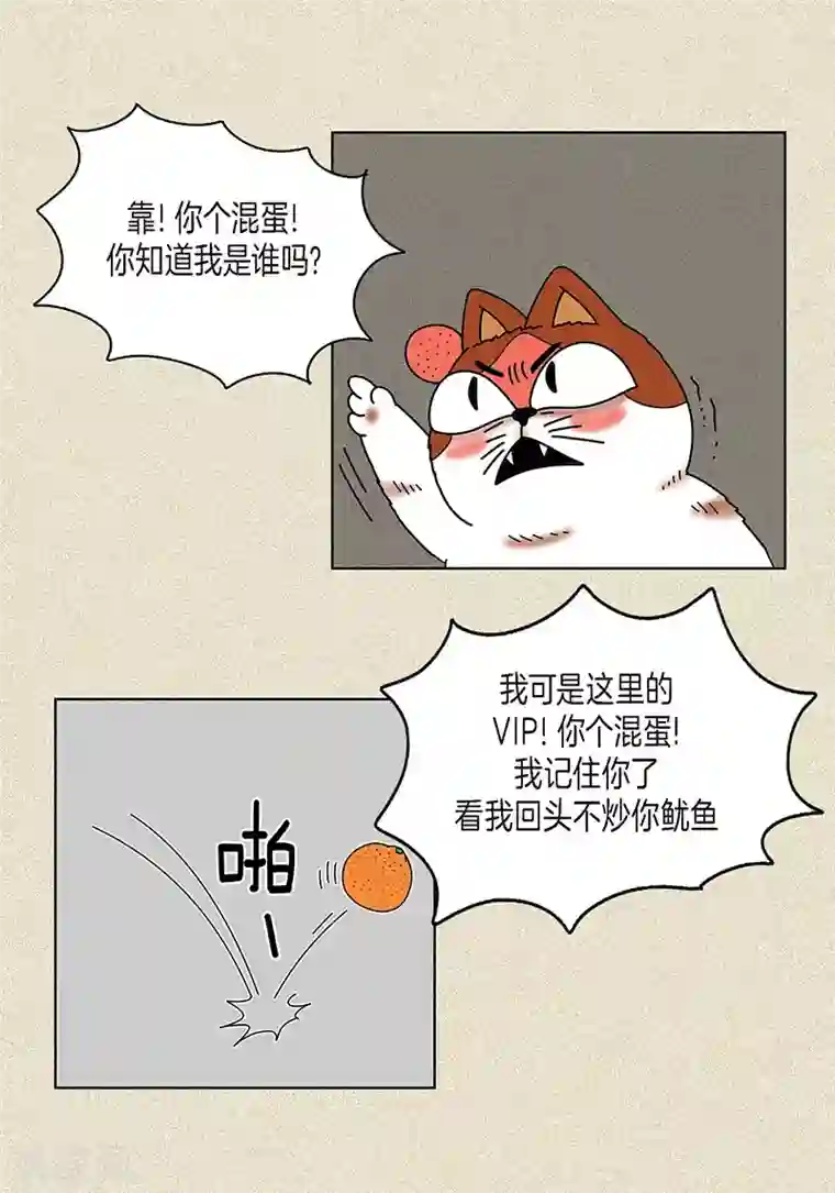 猫王子第8话 “流浪”喵