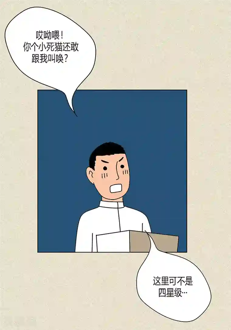 猫王子第8话 “流浪”喵