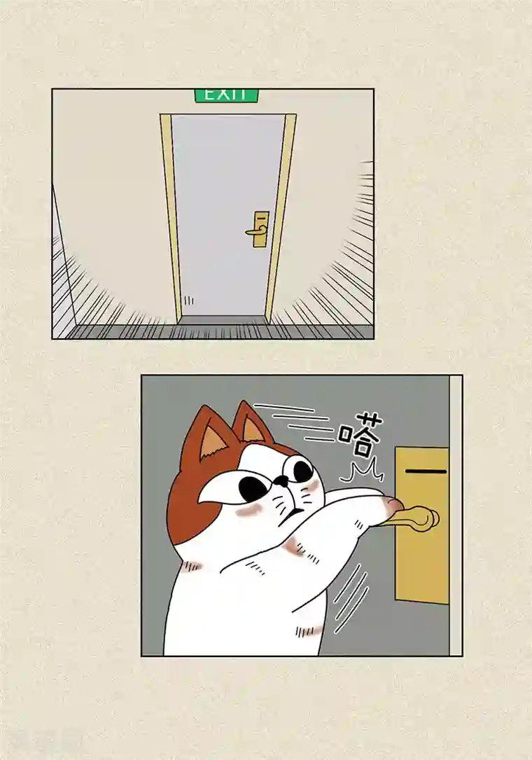 猫王子第8话 “流浪”喵