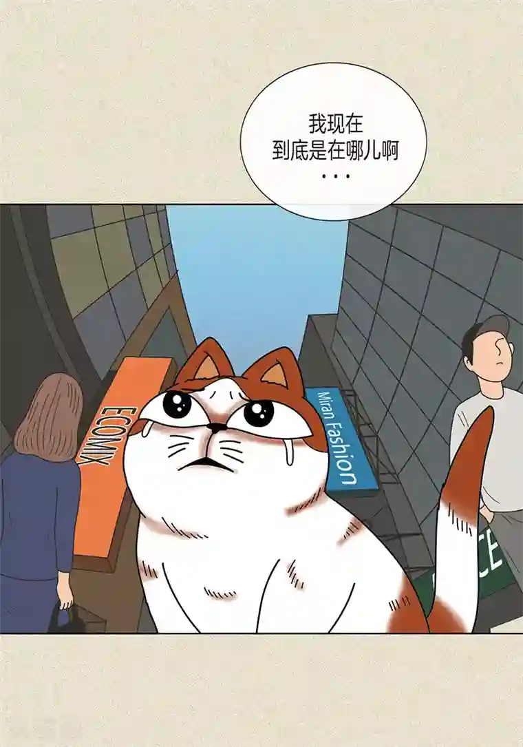 猫王子第8话 “流浪”喵