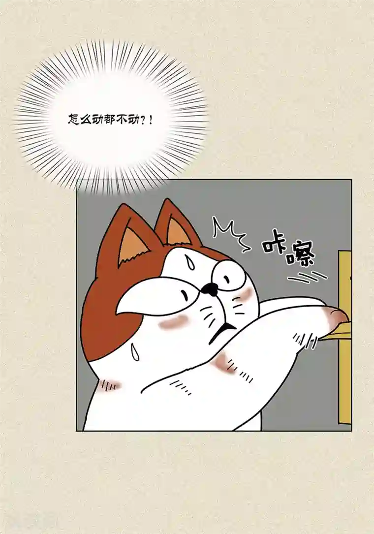 猫王子第8话 “流浪”喵