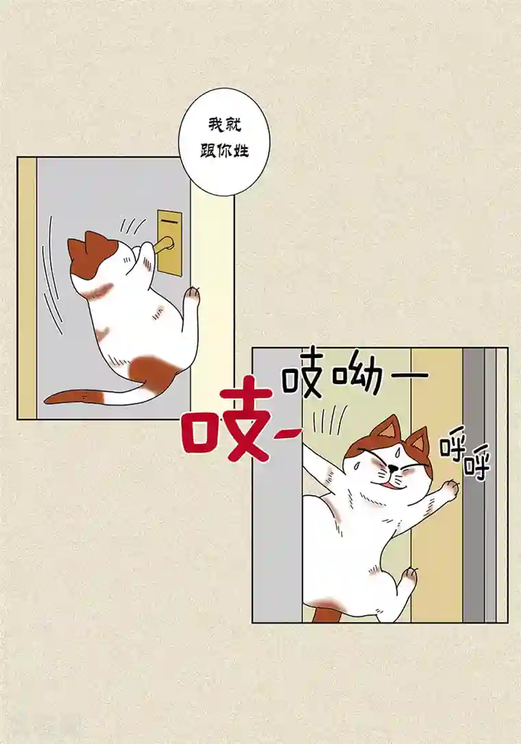 猫王子第8话 “流浪”喵