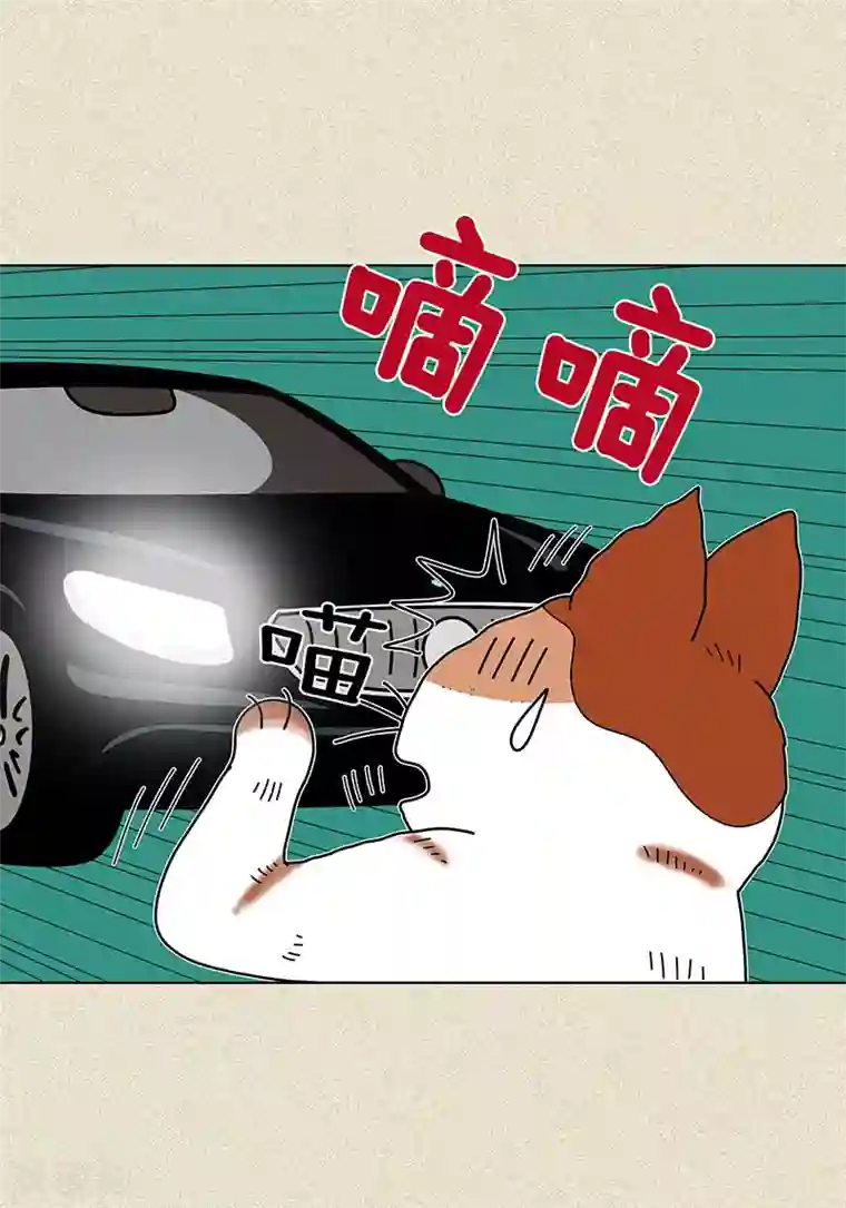 猫王子第8话 “流浪”喵