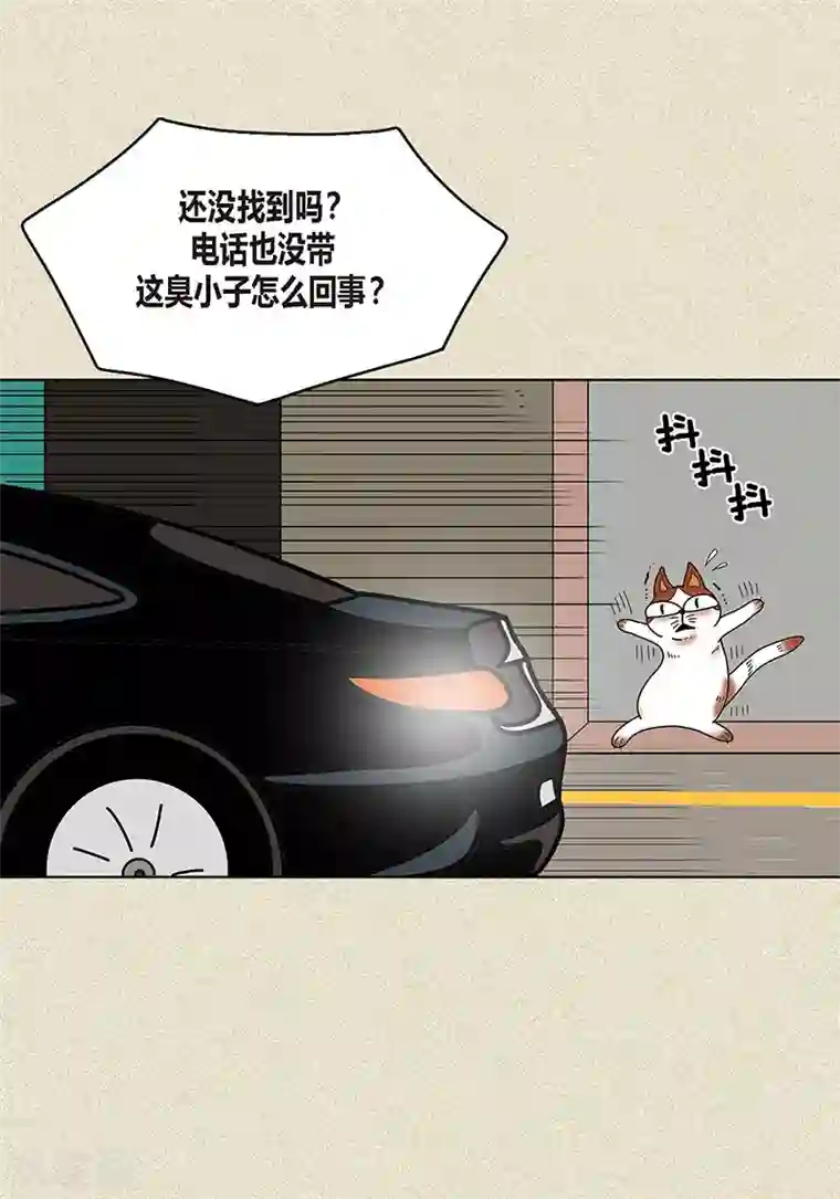 猫王子第8话 “流浪”喵