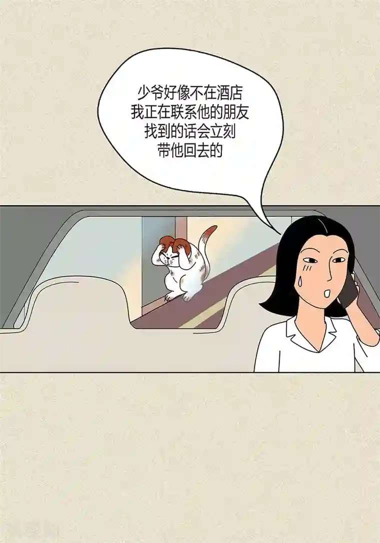 猫王子第8话 “流浪”喵