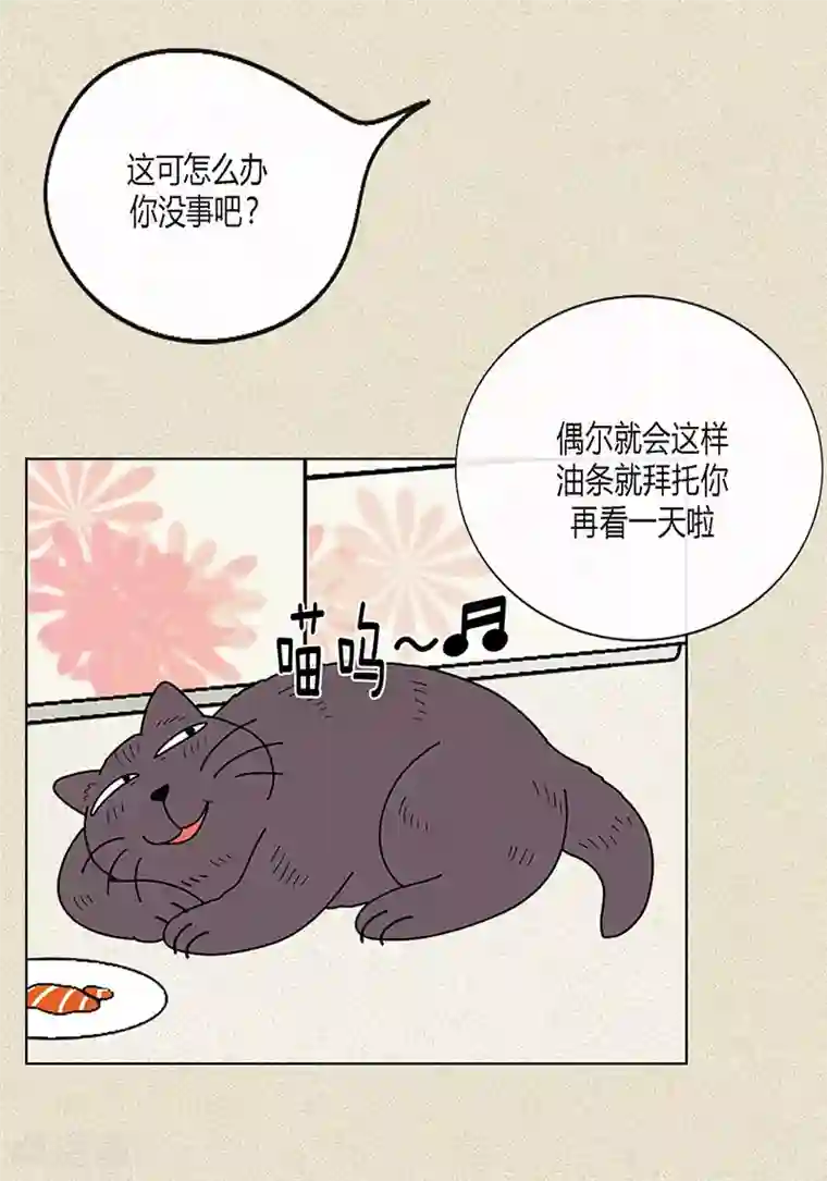 猫王子第9话 走后门的油条