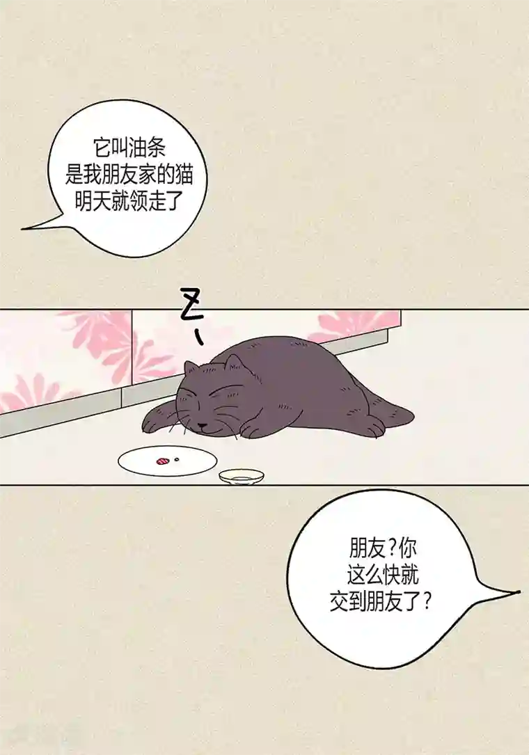 猫王子第9话 走后门的油条
