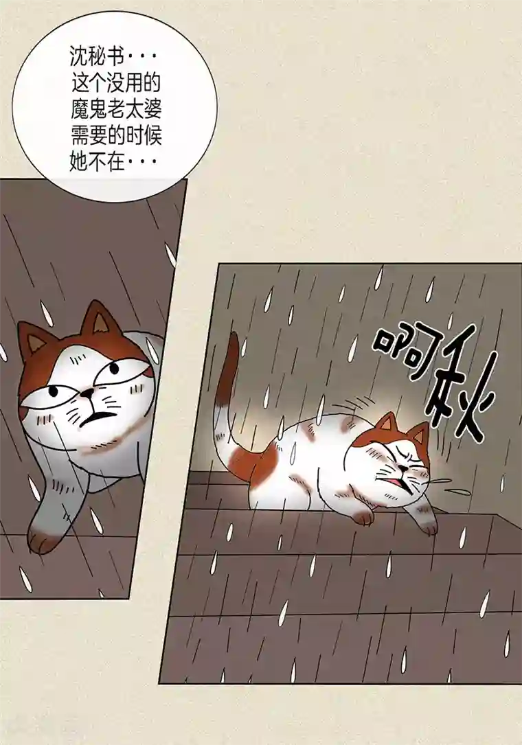 猫王子第9话 走后门的油条