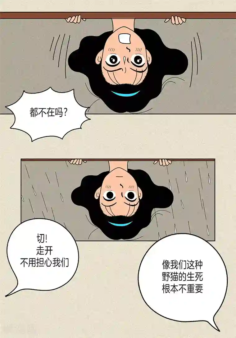 猫王子第9话 走后门的油条