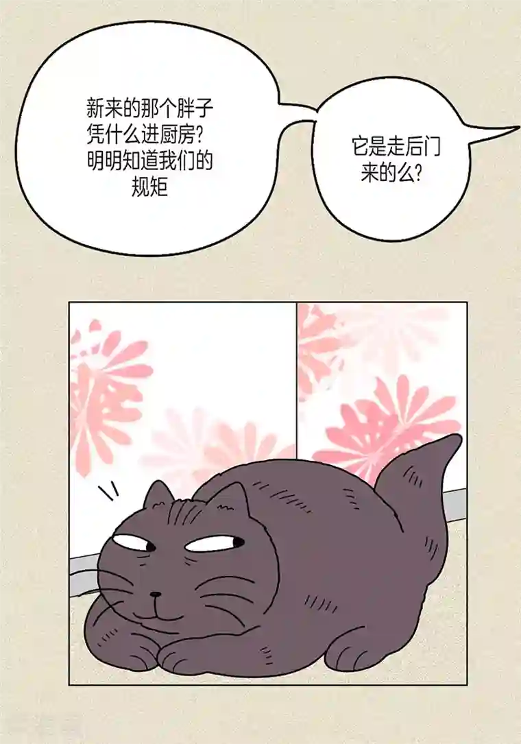 猫王子第9话 走后门的油条