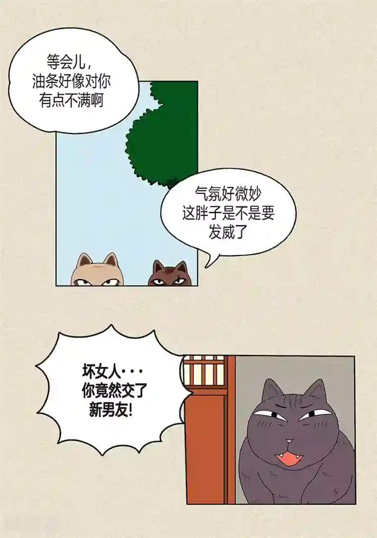 猫王子第16话 念念救我