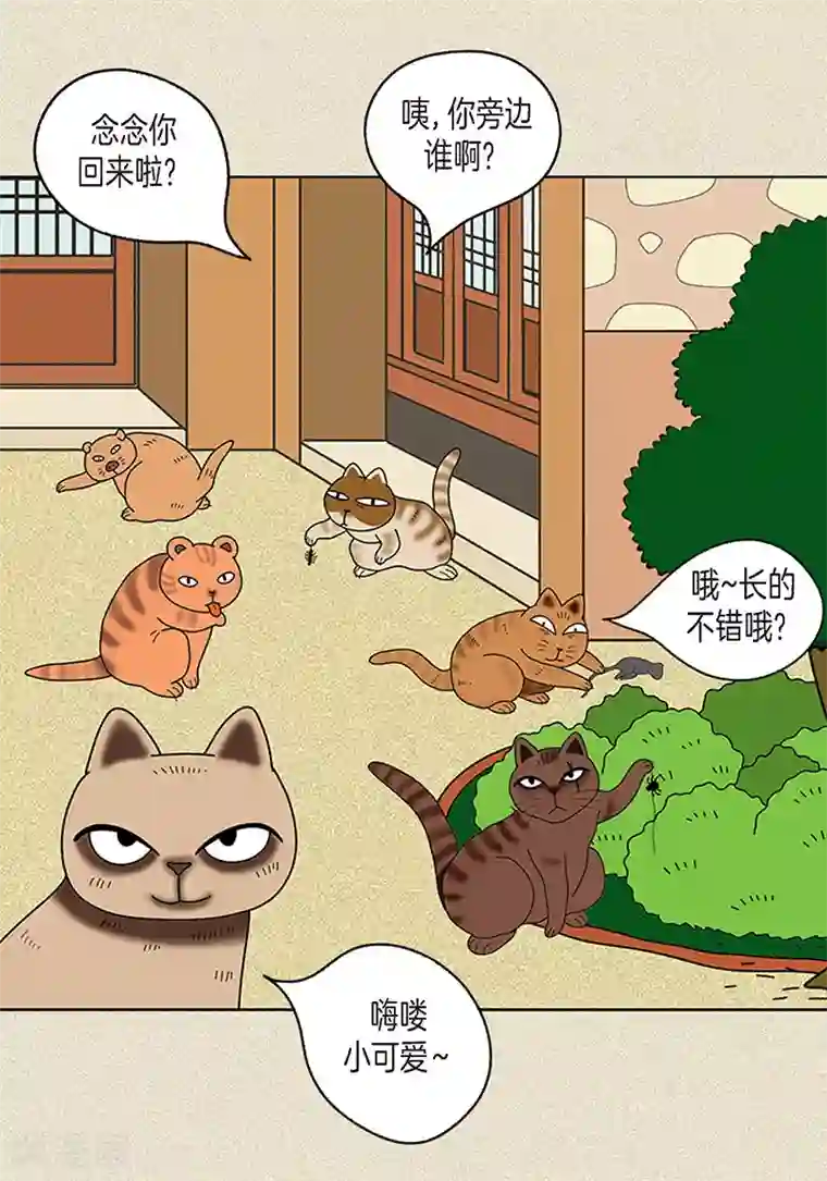 猫王子第16话 念念救我