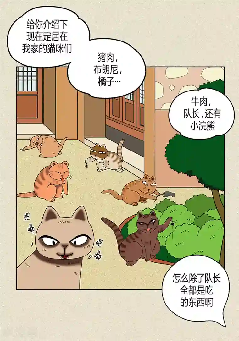 猫王子第16话 念念救我