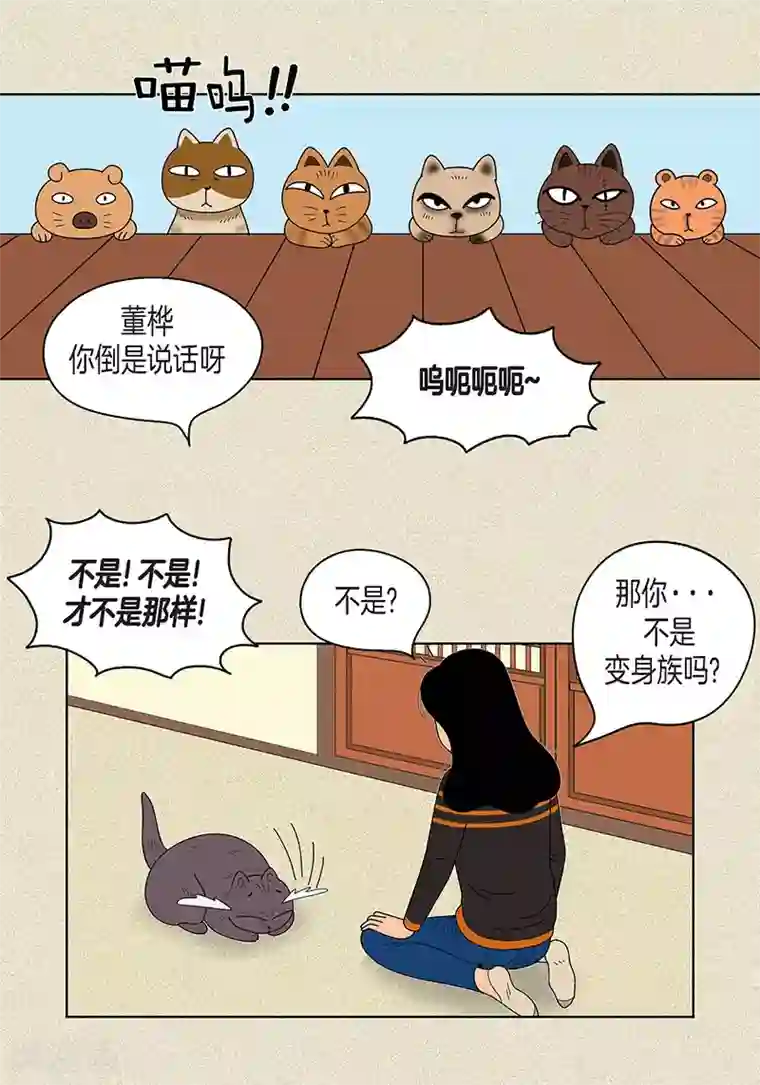 猫王子第17话 油条的身世