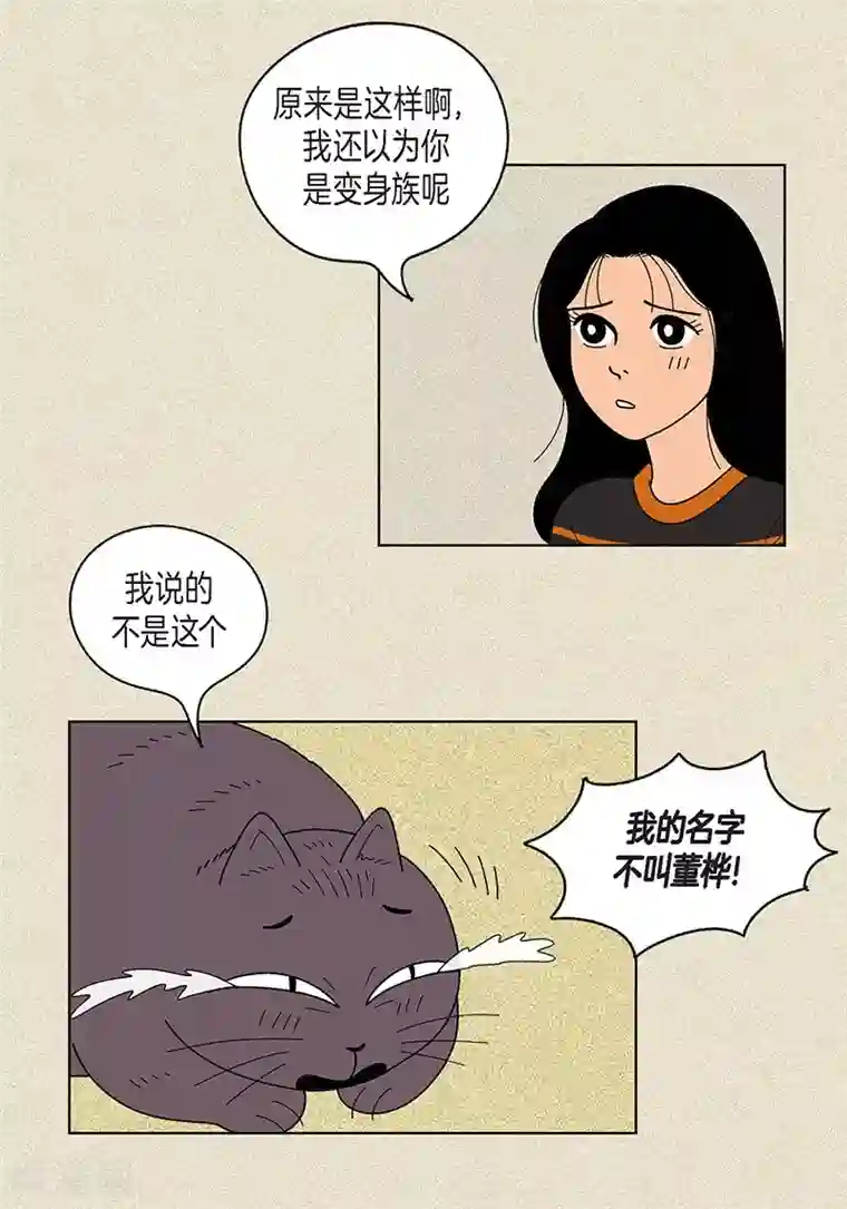 猫王子第17话 油条的身世