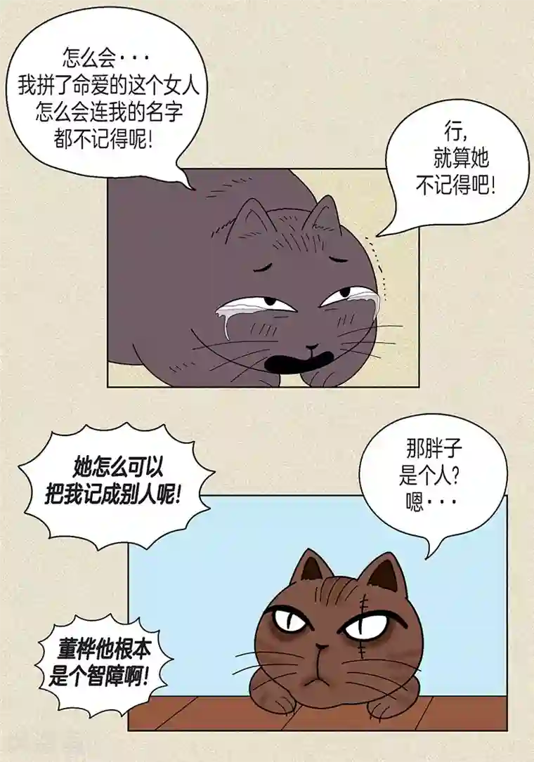 猫王子第17话 油条的身世