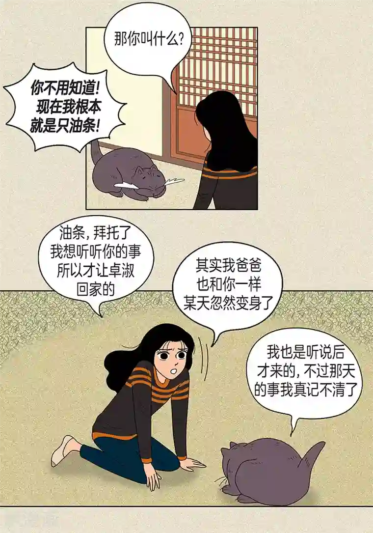 猫王子第17话 油条的身世