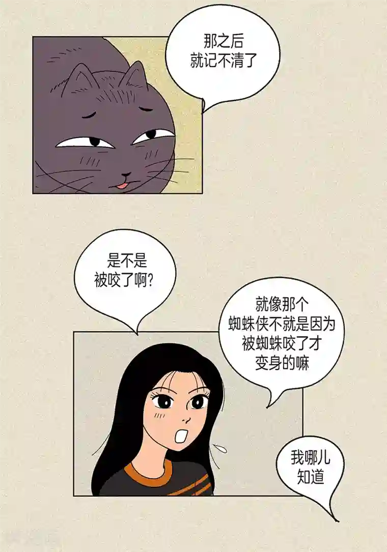 猫王子第17话 油条的身世