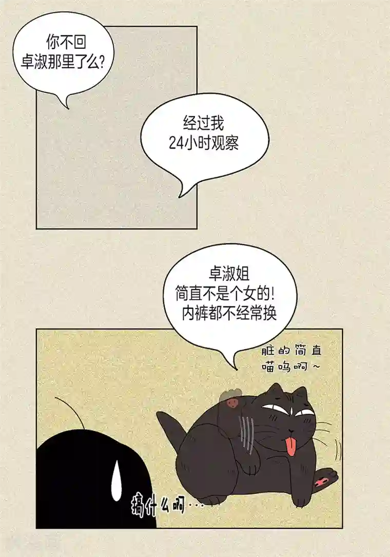 猫王子第17话 油条的身世