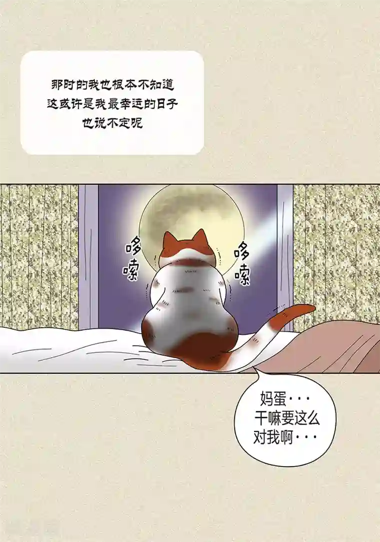 猫王子第17话 油条的身世