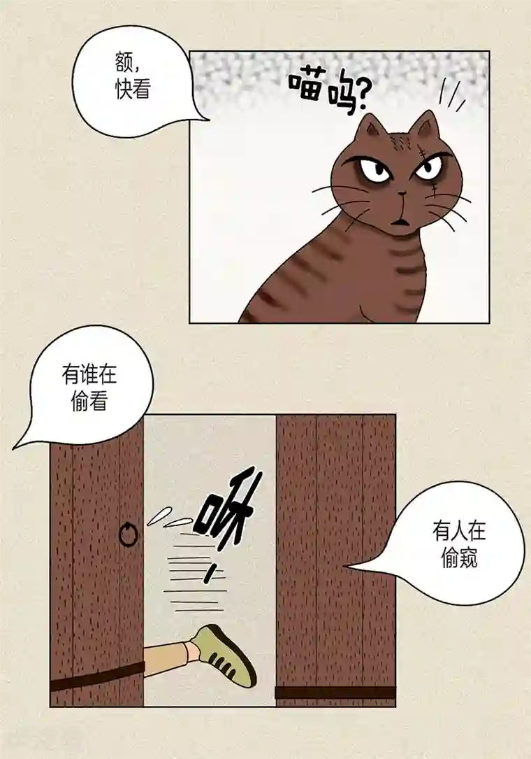 猫王子第17话 油条的身世