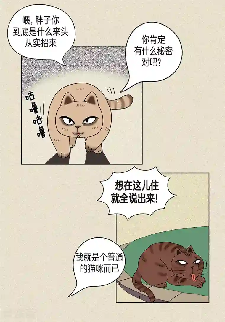 猫王子第18话 有人跟踪我？