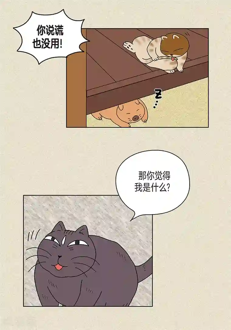 猫王子第18话 有人跟踪我？