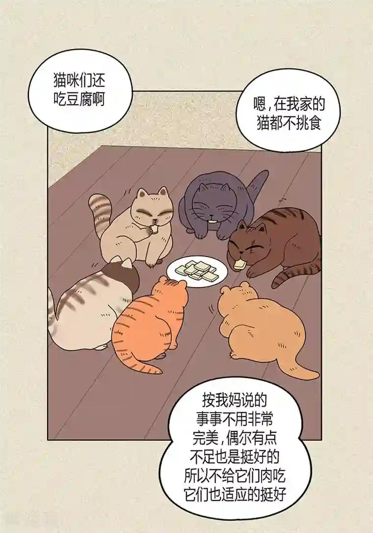 猫王子第21话 绝交