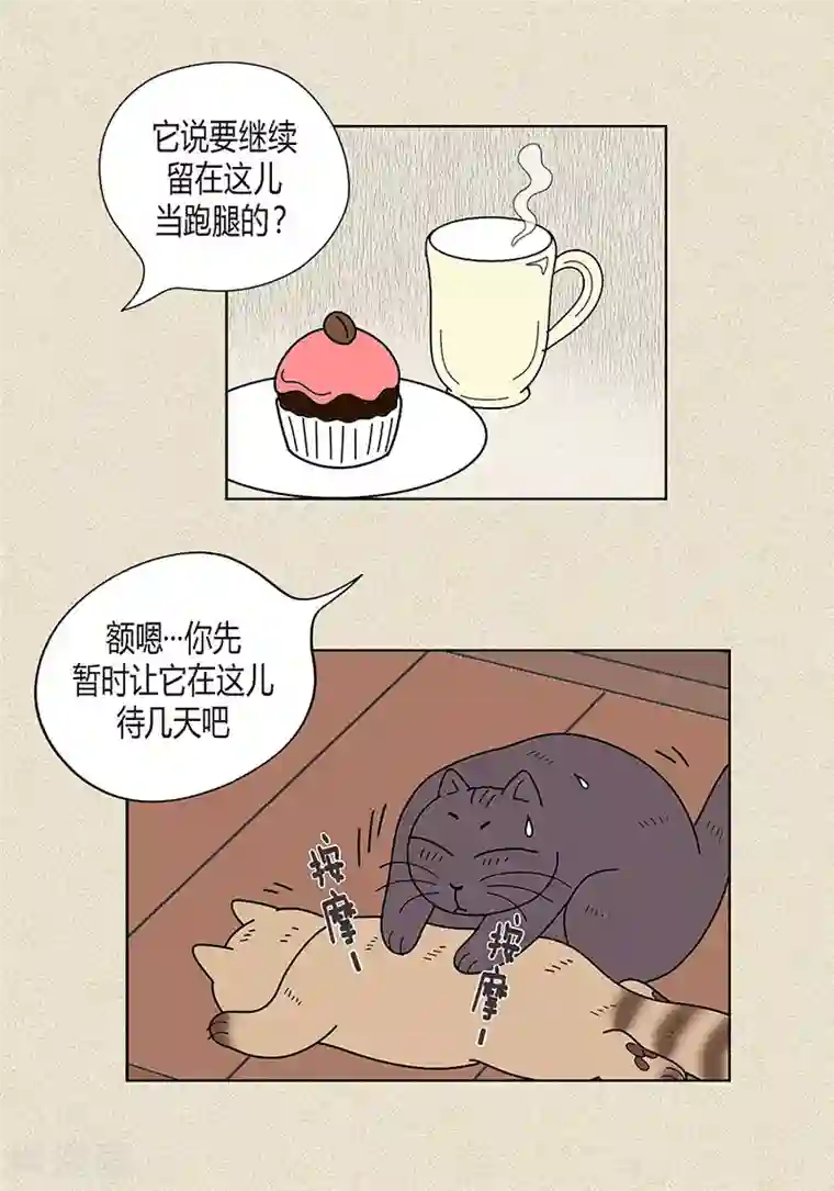 猫王子第21话 绝交